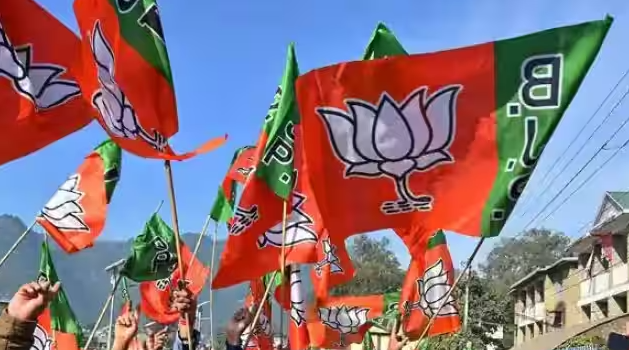 State BJP will get its new president in November, on the instructions of the central leadership, the party has also prepared the outline for organizational elections.