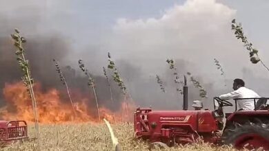 11 केवी की लाइन में शॉर्ट सर्किट की चिंगारी से खेत में लगी आग,10 बीघा गेहूं की फसल भी जलकर खाक