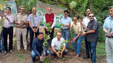 उपाध्यक्ष ज्योति प्रसाद गैरोला ने उत्तराखंड सरकार के नेतृत्व में हरेला पर्व के अवसर पर किया पौधारोपण