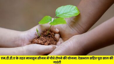 Scheme for planting saplings in monsoon season under MDDA: Full year guarantee including care