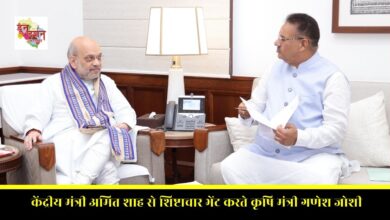 Agriculture Minister Ganesh Joshi paying courtesy call on Union Minister Amit Shah