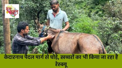 Horses and mules are also being rescued from Kedarnath walking route.