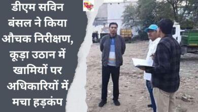 DM Savin Bansal conducted surprise inspection, created panic among officials over shortcomings in garbage collection