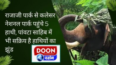 5 elephants reached Kalesar National Park from Rajaji Park, herd of elephants is also active in Paonta Sahib.