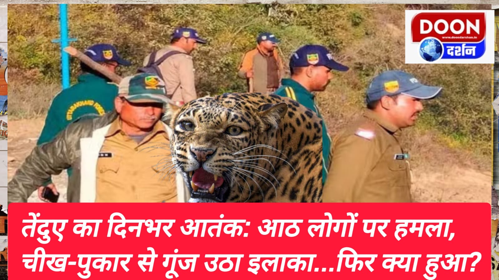 Leopard terror all day long Eight people attacked, area echoed with screams...what happened next