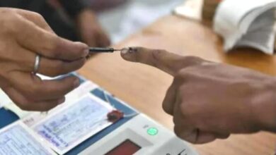 Municipal body elections 51.56% average voting till 4 pm