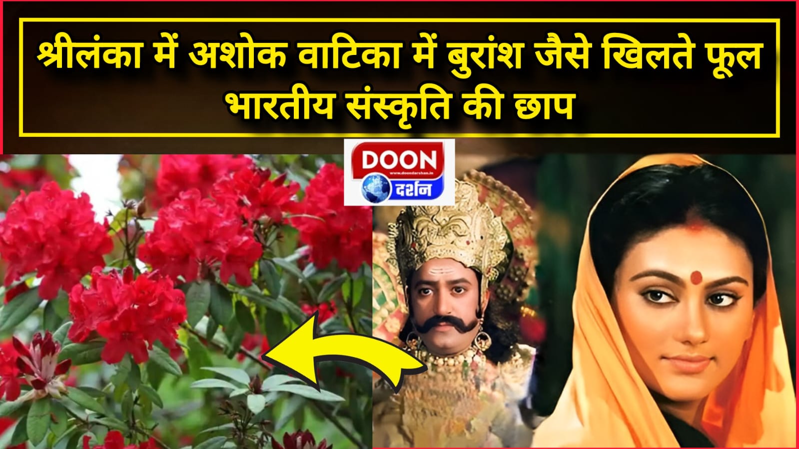 श्रीलंका में अशोक वाटिका में बुरांश जैसे खिलते फूल, भारतीय संस्कृति की छाप
