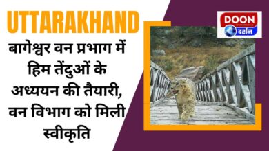 Preparation for study of snow leopards in Bageshwar Forest Division, Forest Department gets approval