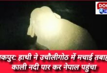 Tanakpur Elephant created havoc in Uchauligoth, crossed Kali river and reached Nepal