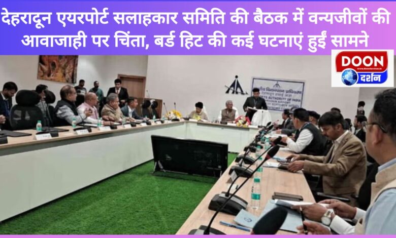 Concern over wildlife movement in Dehradun Airport Advisory Committee meeting, several incidents of bird hits reported