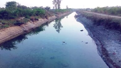 Doiwala Two-year-old innocent fell into the irrigation canal of Majri Grant, declared dead in the hospital