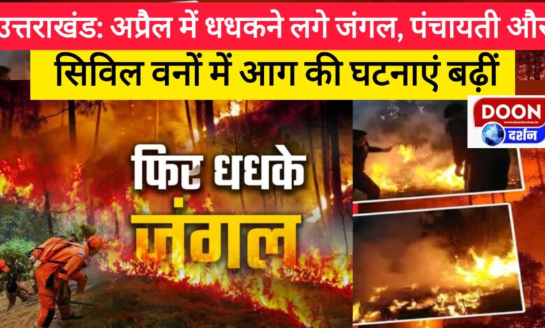 Uttarakhand Forests started blazing in April, incidents of fire increased in panchayat and civil forests