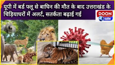 After the death of tigress due to bird flu in UP, alert and vigilance increased in zoos of Uttarakhand