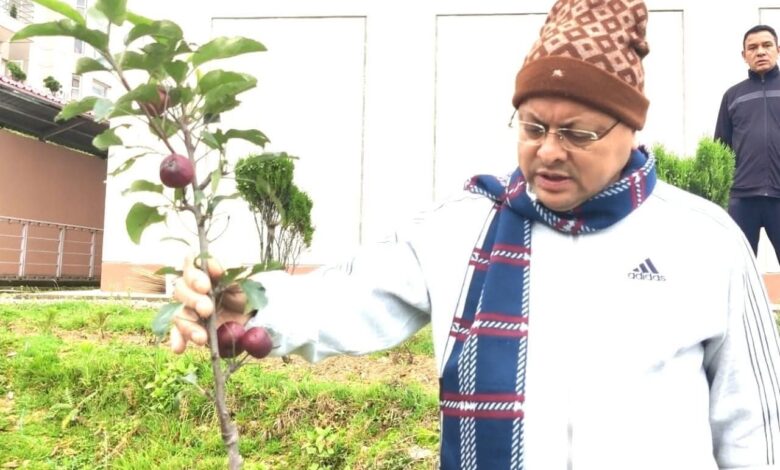 Chief Minister Pushkar Singh Dhami inspected apple plants in Gairsain, called Apple Mission a transformative initiative in the horticulture sector