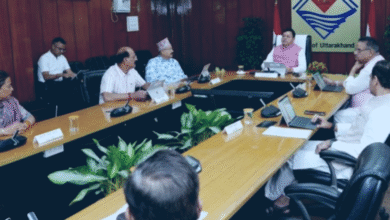 Many important decisions in the cabinet meeting Cooperative, tourism and animal husbandry schemes got approval