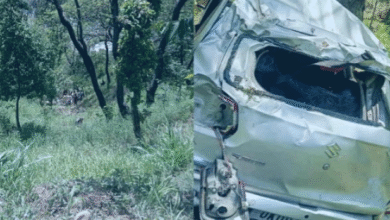 Tragic road accident in Uttarkashi Car falls into 100 meter deep ditch, one woman dead, six seriously injured