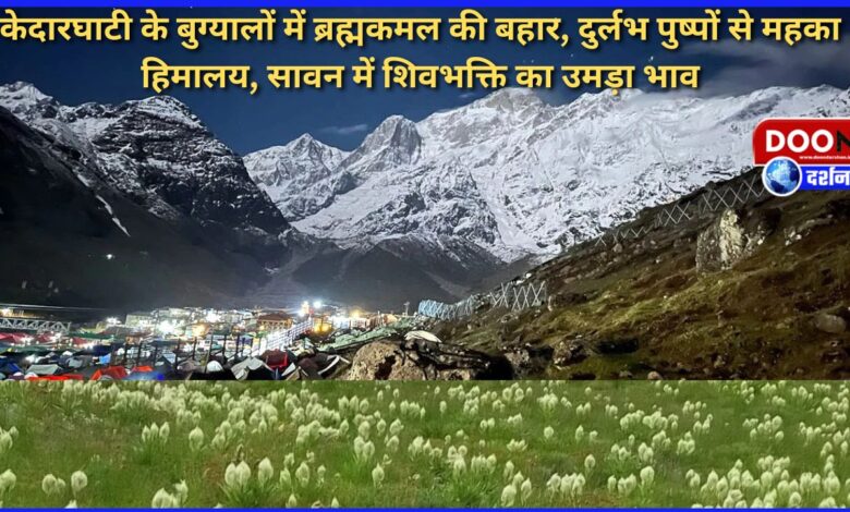Brahmakamal blooms in the meadows of Kedar Valley, Himalayas fragrant with rare flowers, devotion for Shiva surges in the month of Saavan