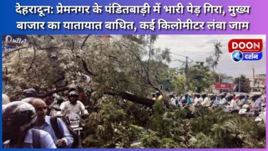 Dehradun A huge tree fell in Panditbari of Premnagar, traffic in the main market disrupted, several kilometers long jam