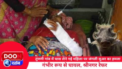 Devprayag A woman who went to collect grass in Tunagi village was attacked by a wild boar, seriously injured, referred to Srinagar