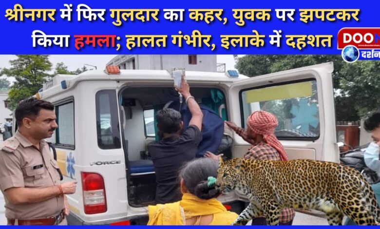 Leopard wreaks havoc again in Srinagar, attacks a young man; condition critical, panic in the area