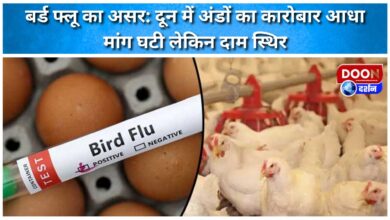 Effect of bird flu Egg business in Doon halved, demand reduced but prices stable