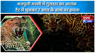 Leopard terror in Satpuli Malli, entered the tent and attacked a 7 year old child