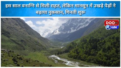 Forest fires brought relief this year, but uprooted trees during the monsoon have increased the damage, counting begins