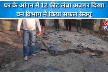 A 12-foot-long python was spotted in the courtyard of a house; the forest department successfully rescued it.