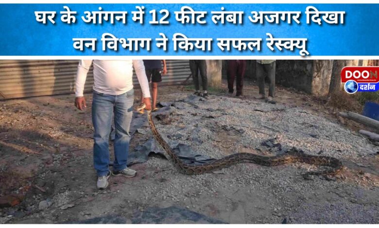 A 12-foot-long python was spotted in the courtyard of a house; the forest department successfully rescued it.