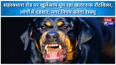 A dangerous Rottweiler roaming freely on Sahastradhara Road, causing panic among residents; Municipal Corporation to rescue it