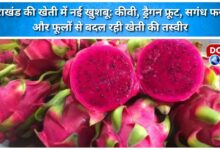 A new fragrance in Uttarakhand's agriculture Kiwi, dragon fruit, aromatic crops and flowers are changing the landscape of agriculture.