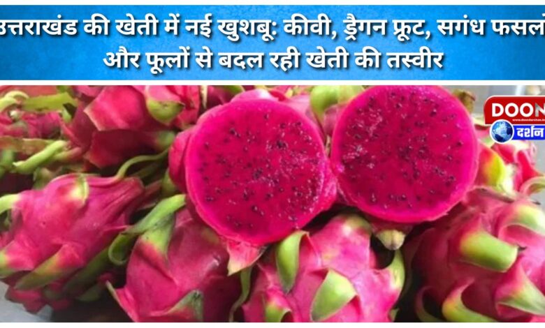 A new fragrance in Uttarakhand's agriculture Kiwi, dragon fruit, aromatic crops and flowers are changing the landscape of agriculture.