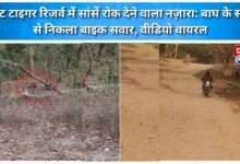 Breathtaking scene in Corbett Tiger Reserve Biker passes in front of tiger, video goes viral