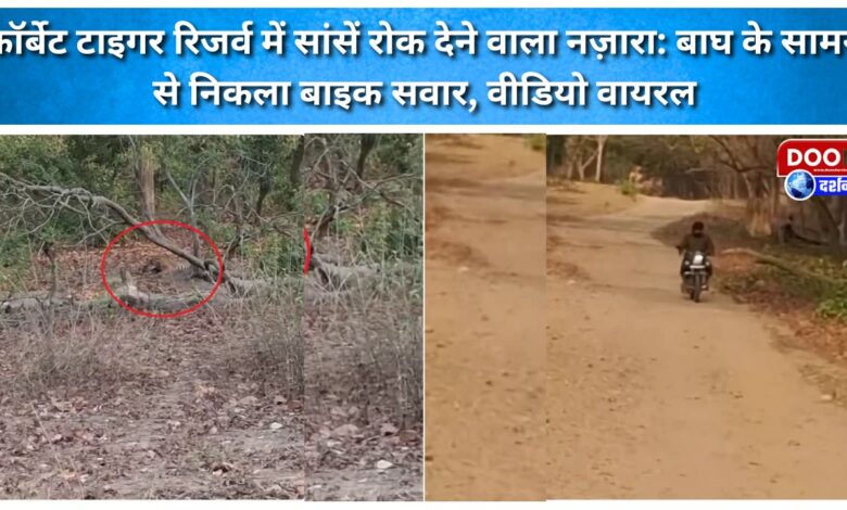 Breathtaking scene in Corbett Tiger Reserve Biker passes in front of tiger, video goes viral