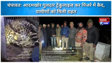 Champawat Man-eating leopard tranquilized and caged, villagers relieved