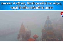 Cold wave intensifies in Uttarakhand, dense fog in the plains, rain and snowfall expected in the mountains