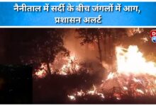 Forest fire in Nainital amid winter, administration on alert