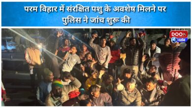 Police launch investigation after remains of protected animal found in Param Vihar