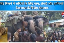 Special arrangements for the care of tigers, leopards and elephants for winter in Corbett Reserve