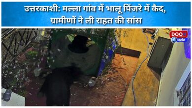 Uttarkashi Bear caged in Malla village, villagers heave a sigh of relief