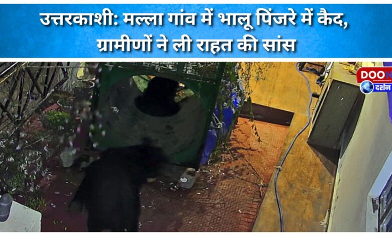 Uttarkashi Bear caged in Malla village, villagers heave a sigh of relief