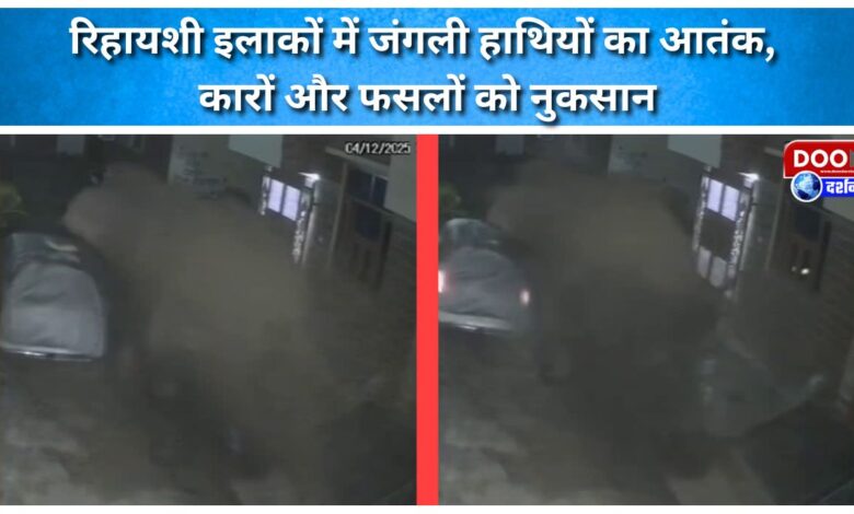 Wild elephants terrorize residential areas, damaging cars and crops