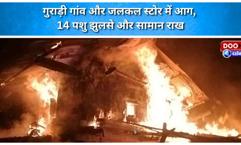 Fire in Guradi village and Jalkal store, 14 animals burnt and goods burnt to ashes