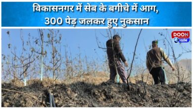 Fire in apple orchard in Vikasnagar, 300 trees burnt