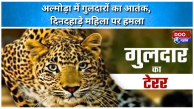 Leopards terrorize Almora, woman attacked in broad daylight