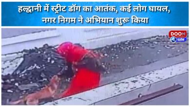 Street dogs create havoc in Haldwani, injuring several people; Municipal Corporation launches drive