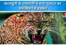 There was a stir after the body of a female leopard was found in Pattapani of Kaladhungi.