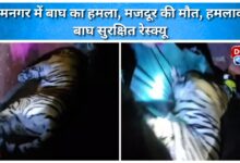 Tiger attack in Ramnagar, laborer killed, attacking tiger safely rescued