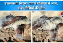 Uttarkashi Fire breaks out in cowshed in Silla village, killing six cattle