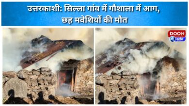 Uttarkashi Fire breaks out in cowshed in Silla village, killing six cattle